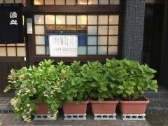 杉
