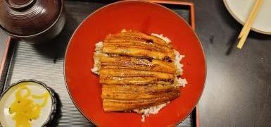 松きち