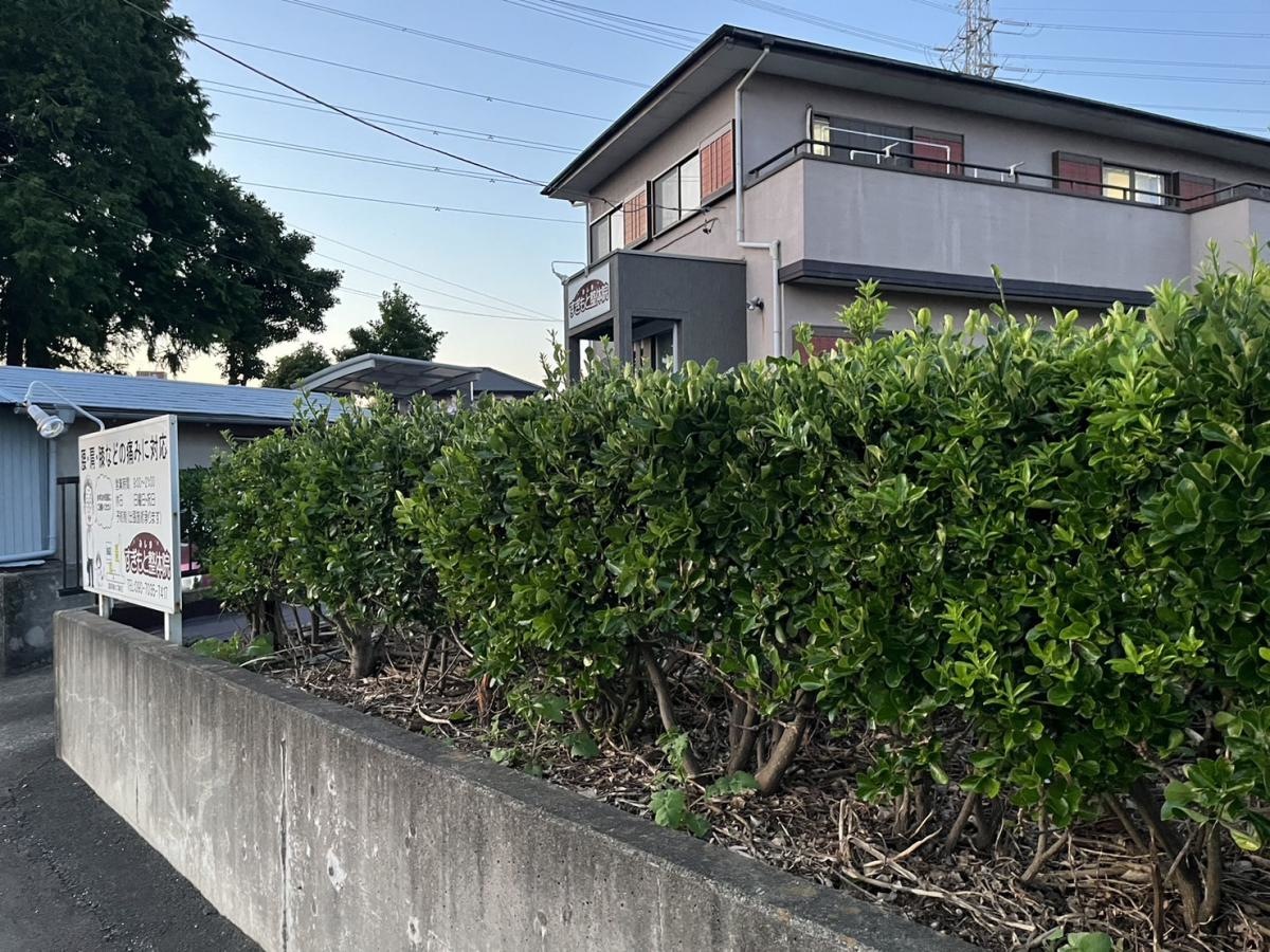 整体医院