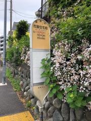 「市営住宅前(座間市)」バス停留所