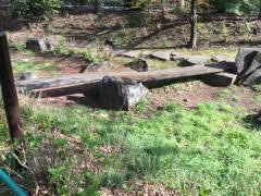 玉川上水永泉寺緑地