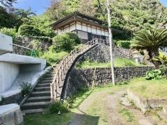 浪子不動