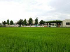 大口町立南保育園