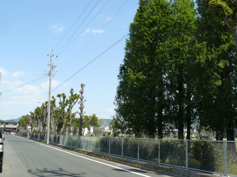 札通公園