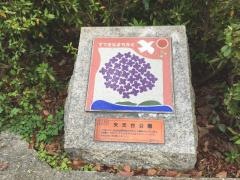 矢元台公園