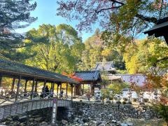 佛通寺