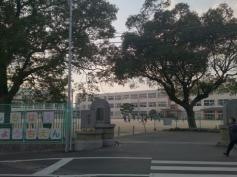 白南風小学校