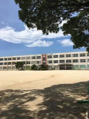 白南風小学校
