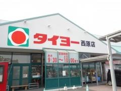 タイヨー西原店