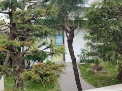 間宮歯科医院