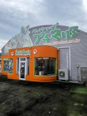 ペットショップ　プチマリア　一宮店
