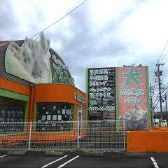ペットショップ　プチマリア　一宮店