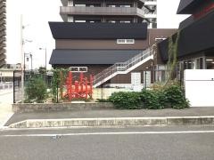 城のうさぎ保育園