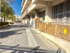 東羽衣小学校