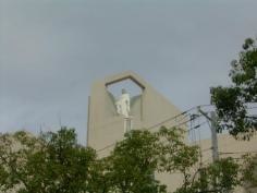 和歌山信愛高等学校