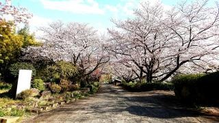 大幸園活魚川魚料理
