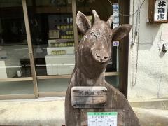 「沢渡温泉」バス停留所