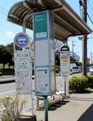 「中入谷(足立区)」バス停留所