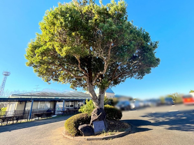 太陽の丘 設備