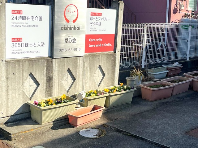 ほっとファミリーぞうの目