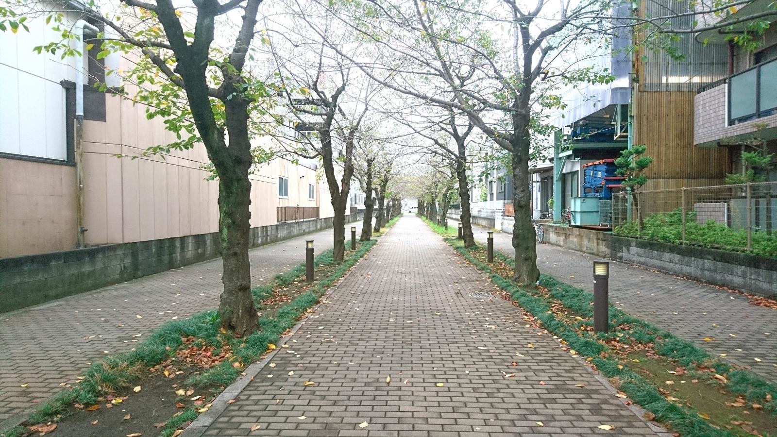緑道