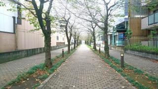 辻8丁目緑道