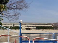 貝の花小学校