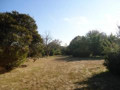 養老川臨海公園