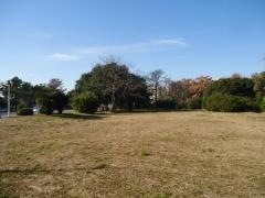 養老川臨海公園