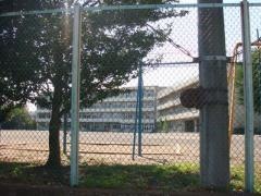 藤橋小学校