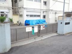 若葉小学校