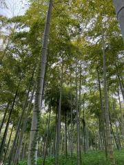箕面東公園