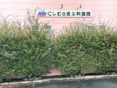 にしむら皮ふ科医院別府診療所