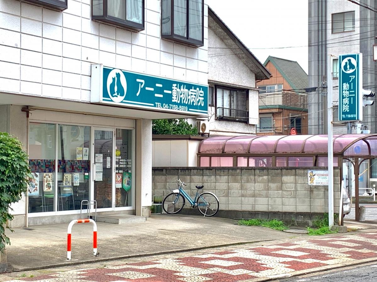 アーニー動物病院の西側からの外観全景