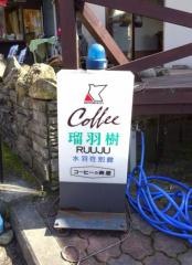 瑠羽樹