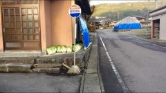 「野尻局前」バス停留所