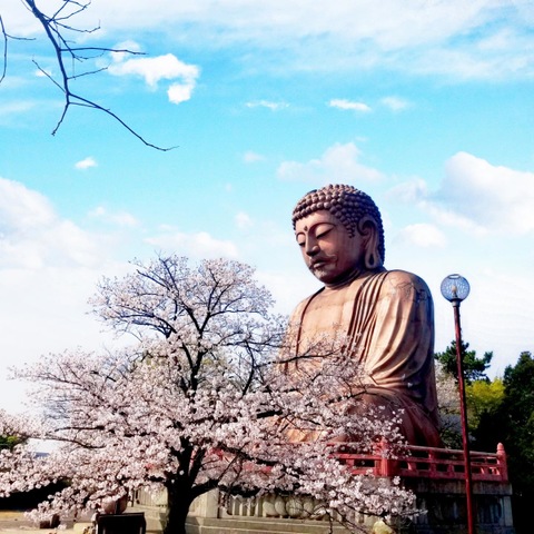 施設写真15