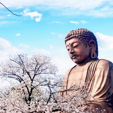 施設写真14