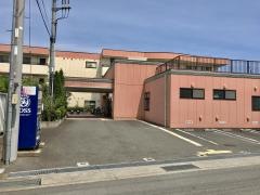 ミモザ寒川