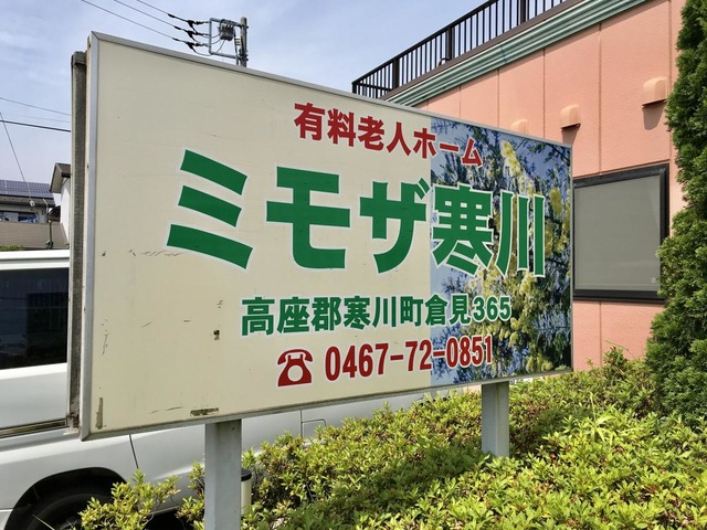 ミモザ寒川
