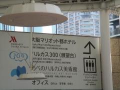 大阪マリオット都ホテル