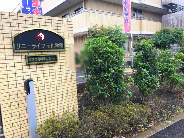 エントランス周り