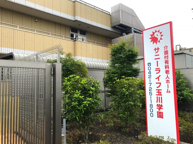 植栽
