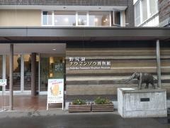 野尻湖ナウマンゾウ博物館