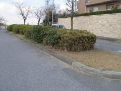 鹿山街園