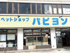 パピヨン