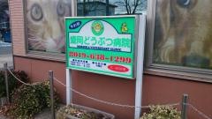 盛岡どうぶつ病院