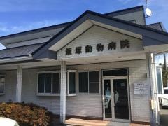 飯塚動物病院