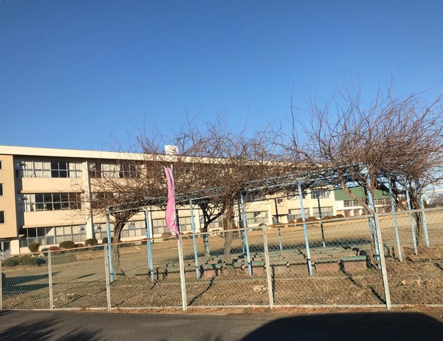 投稿写真1