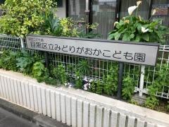 みどりがおかこども園